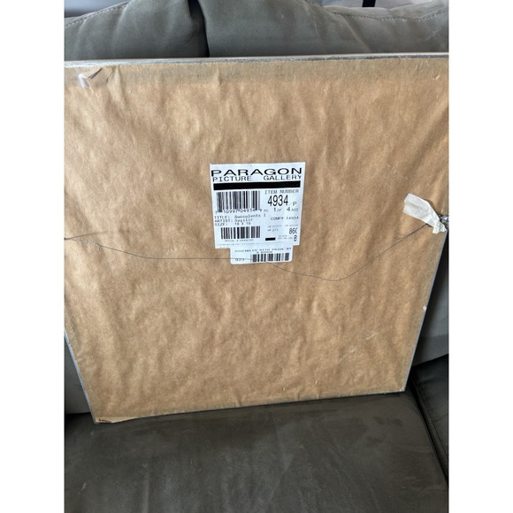 Paragon Picture Gallery Succulents I And II By Sayilir Each 18"x18" - Picture 4 of 7